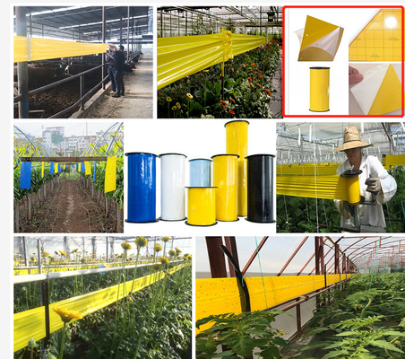 Maschine zur Herstellung von gelben Klebrigen Fallen / Maschine zur Herstellung von fliegenden Klebstofffallen / Mausklebstoff automatisch pneumatisch zur Verfügung gestellt